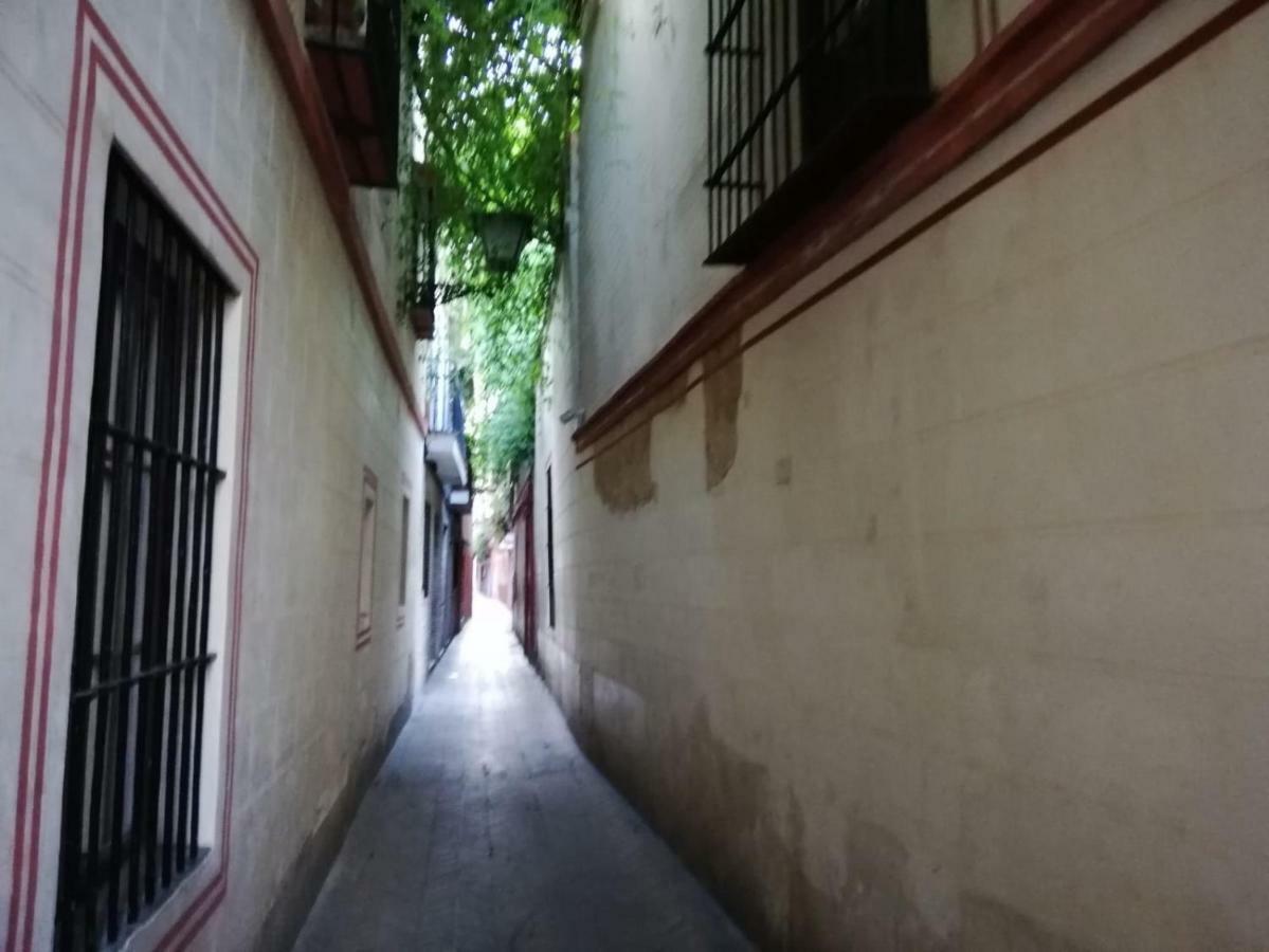 Apartamento En La Juderia De Sevilla Exterior photo